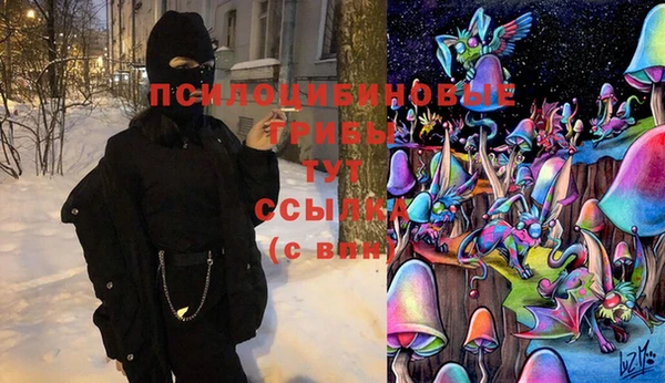 соль курить ск Верея