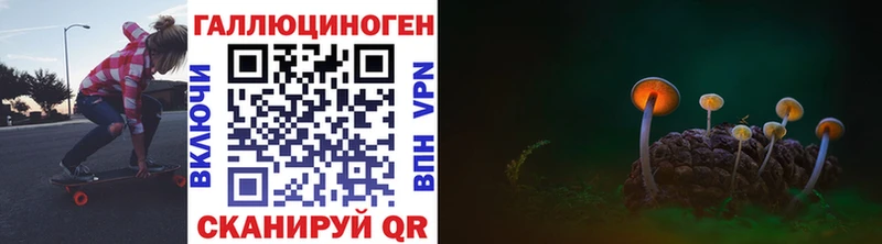 Галлюциногенные грибы мицелий  Новая Усмань 
